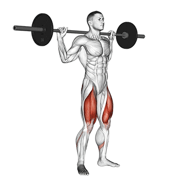 Back Squat demo