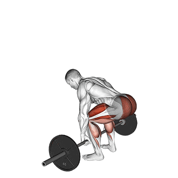 Deadlift demo